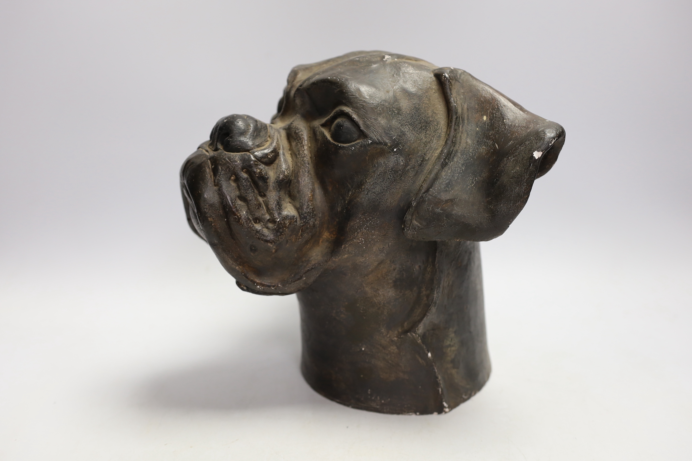 A plaster model of a bulldog head, 24cm